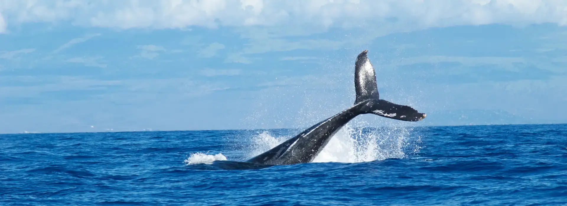Ocean economy