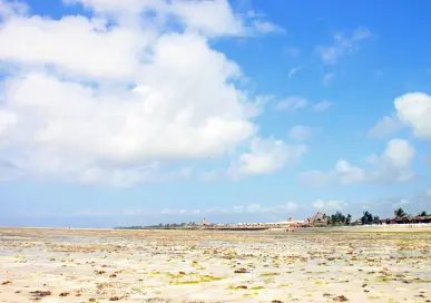 Advising a Kenyan Commercial bank on their climate risks
