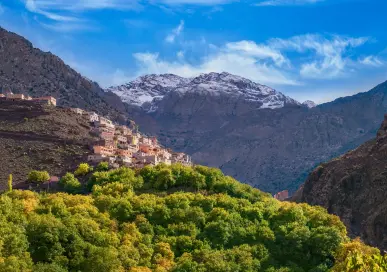 Assessment for Mobilizing Investments for Morocco’s Forests and Biodiversity