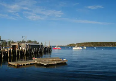Re-engineering the ocean health index