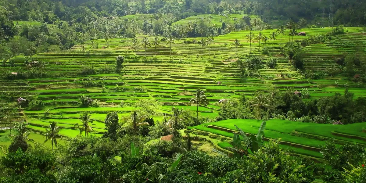 Strengthening co-financing strategies with the Asian Development Bank to address emerging challenges